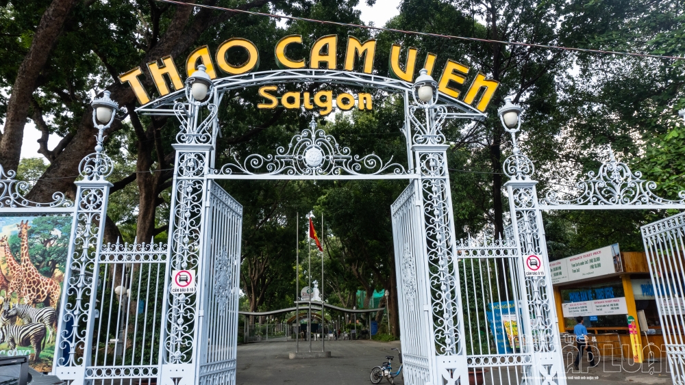 10 ĐIỂM VUI CHƠI CHO GIA ĐÌNH VÀ CÁC BÉ TẠI TPHCM
